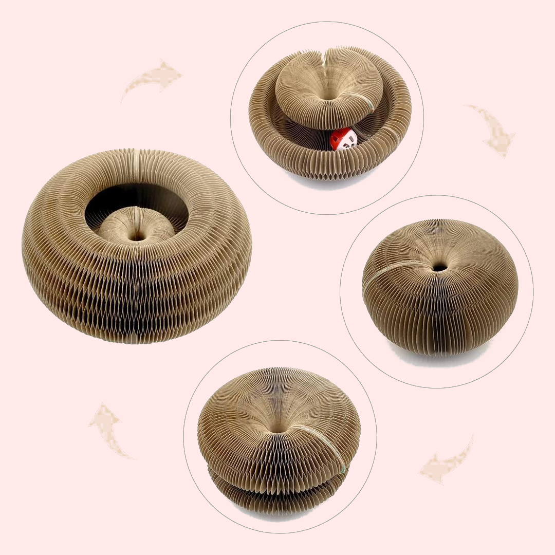 Kitty Kurlz (Set of 2)