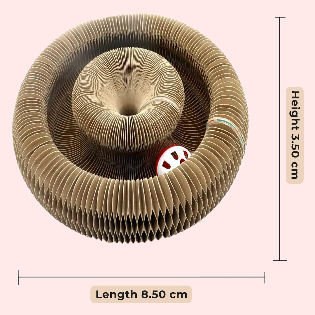 Kitty Kurlz (Set of 2)