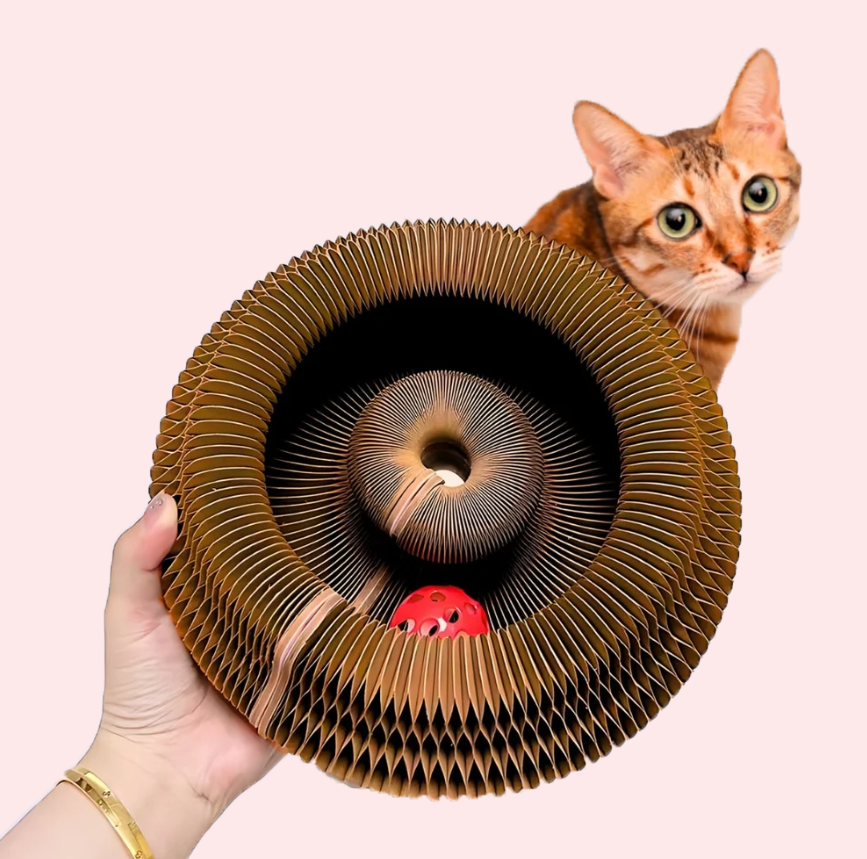 Kitty Kurlz (Set of 2)