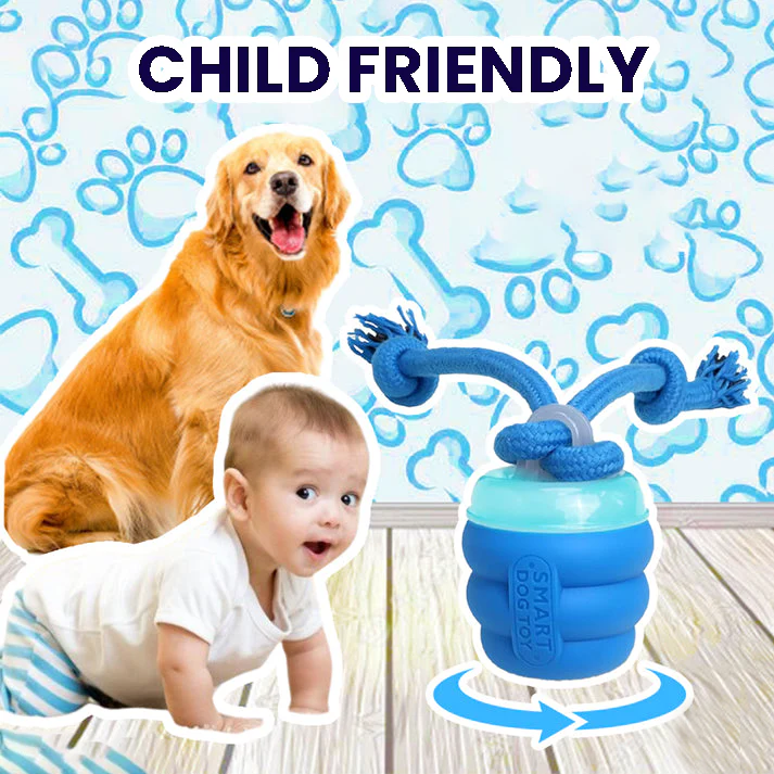 Fido Spin Toy
