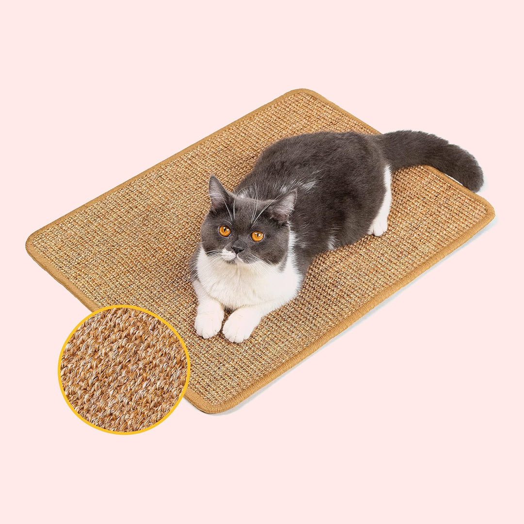 Cozy Cat Set