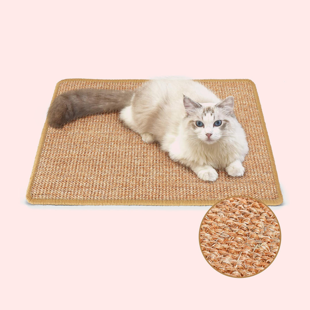 Cozy Cat Set