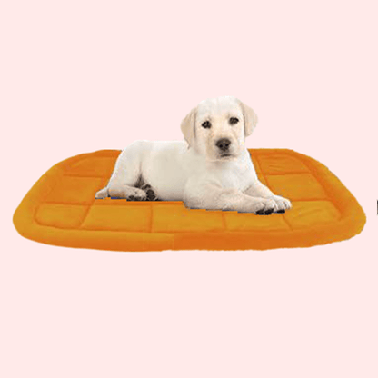 Beds for Dogs and Cats - Pet Goof