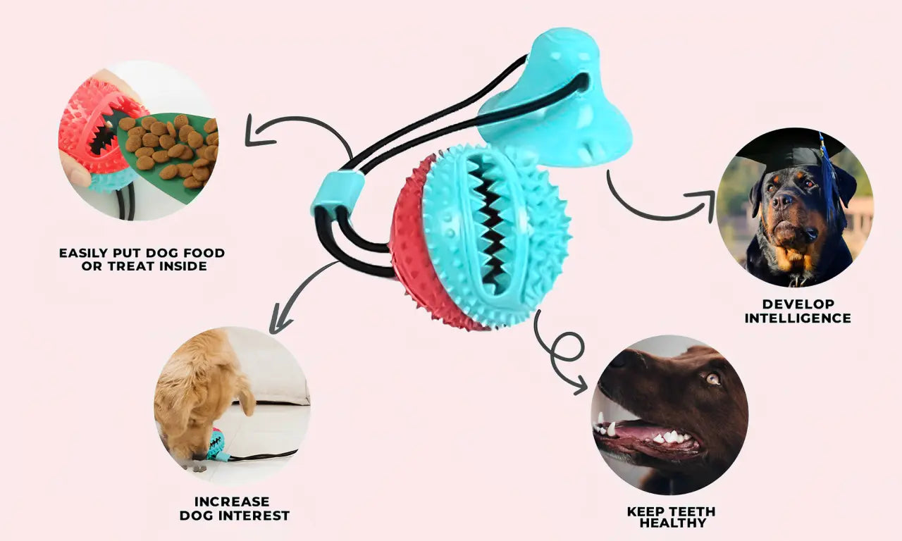 Ultimate Care & Play Combo