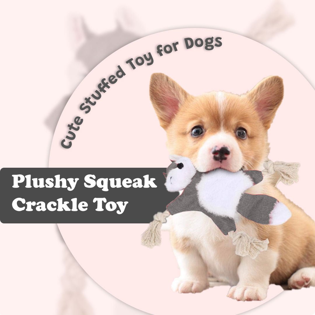 Plushy Squeak Crackle Toy - Pet Goof