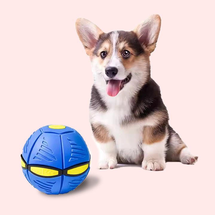 Saucer Ball Dog Toy - Pet Goof