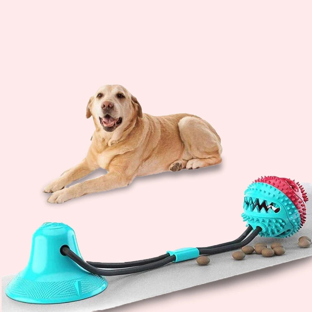 Suction Cup Tug Toy - Pet Goof