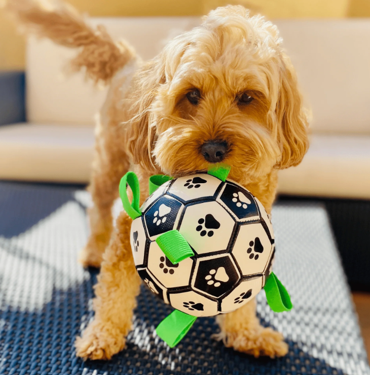 Grab Tabs Soccer Ball