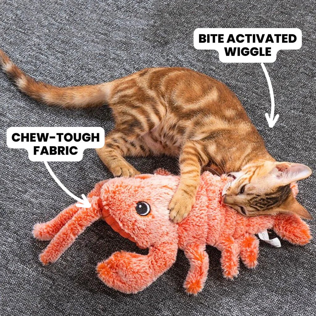 Wiggle Lobster Toy - Pet Goof